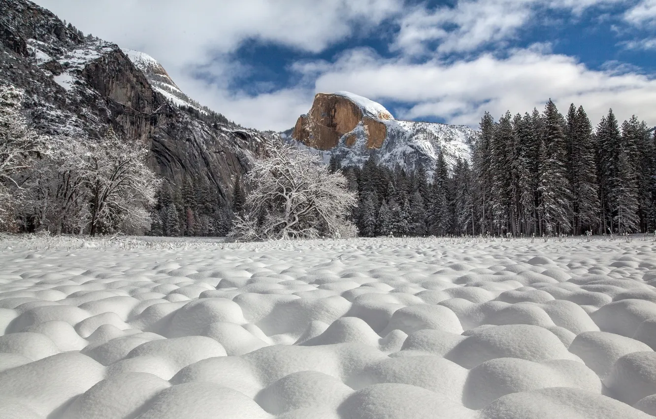 Photo wallpaper Yosemite National Park, Half Dome, Snow Cottonballs
