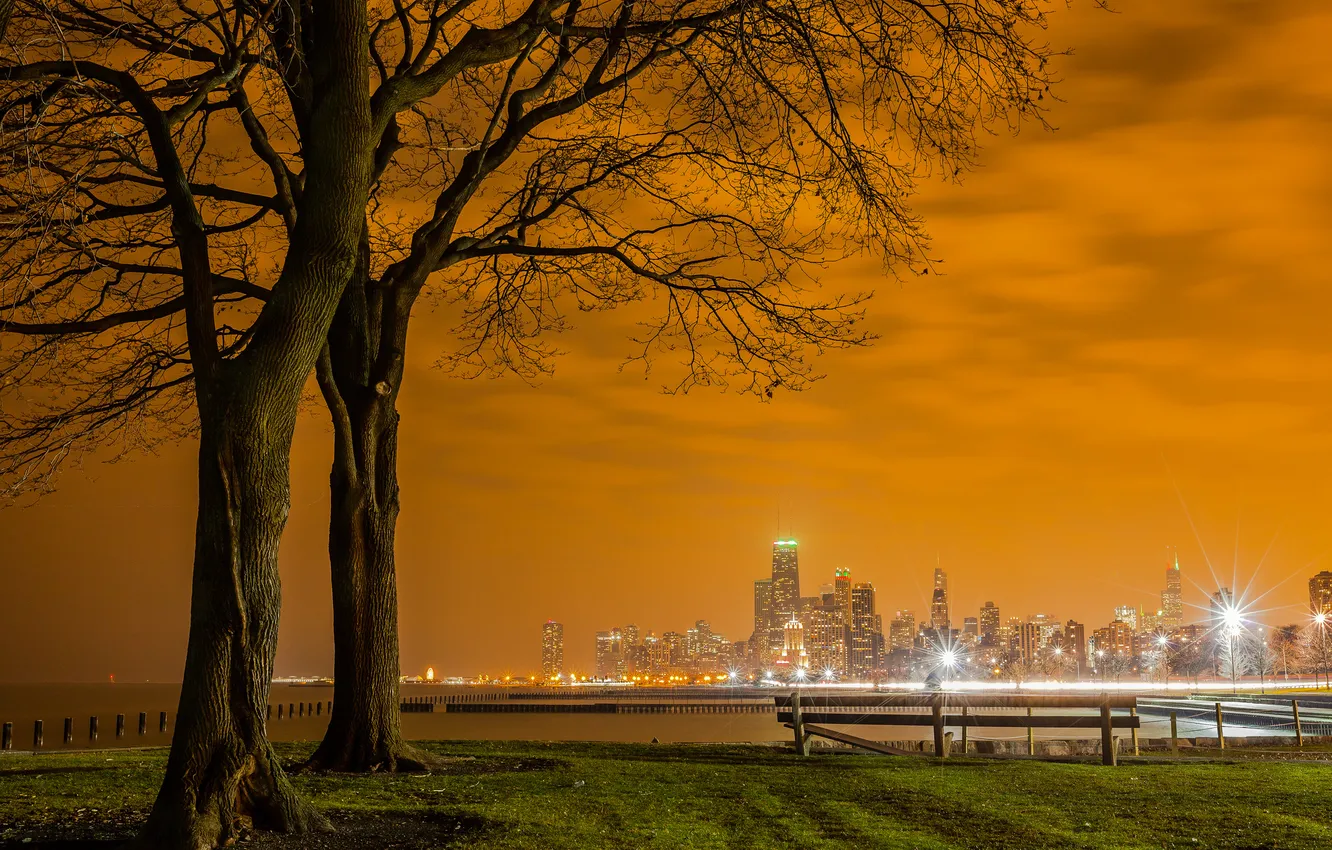 Photo wallpaper the sky, clouds, the city, lights, tree, home, the evening, bench