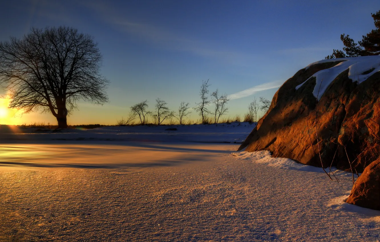 Photo wallpaper winter, snow, sunset, tree
