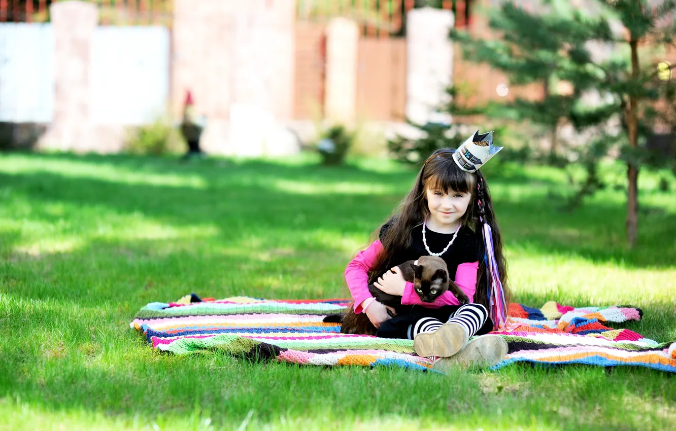 Photo wallpaper cat, summer, grass, smile, girl