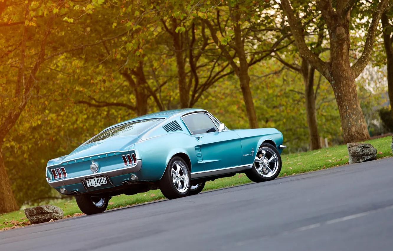 Photo wallpaper Mustang, Ford, the trunk, 1967, Fastback