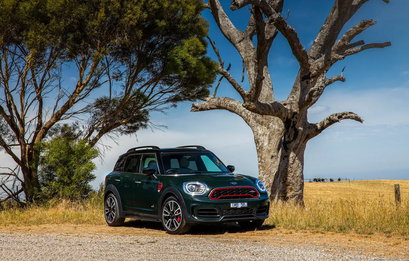Photo wallpaper auto, the sky, trees, Mini, Countryman, John Cooper
