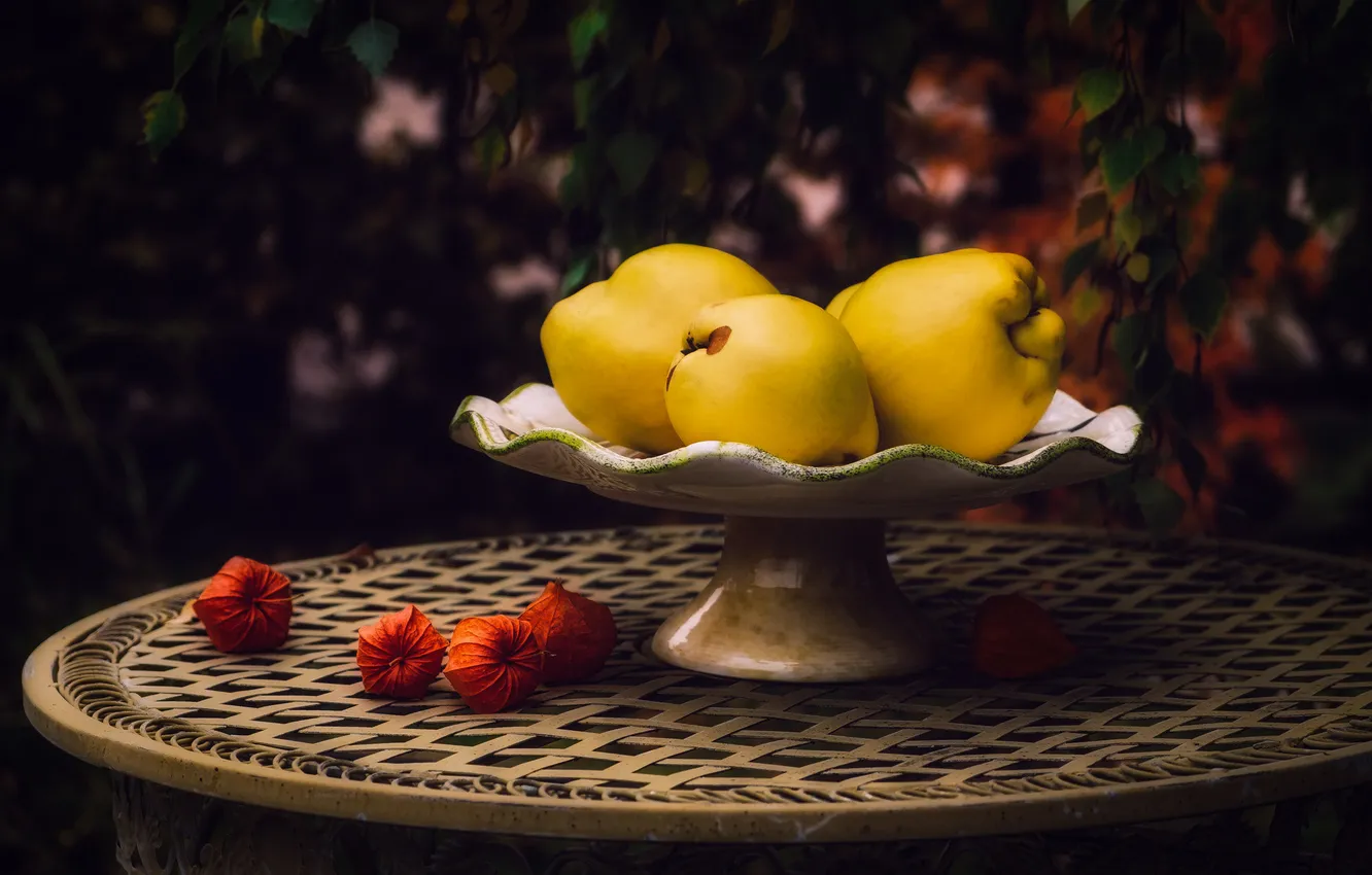 Photo wallpaper leaves, the dark background, table, yellow, fruit, table, physalis, bokeh