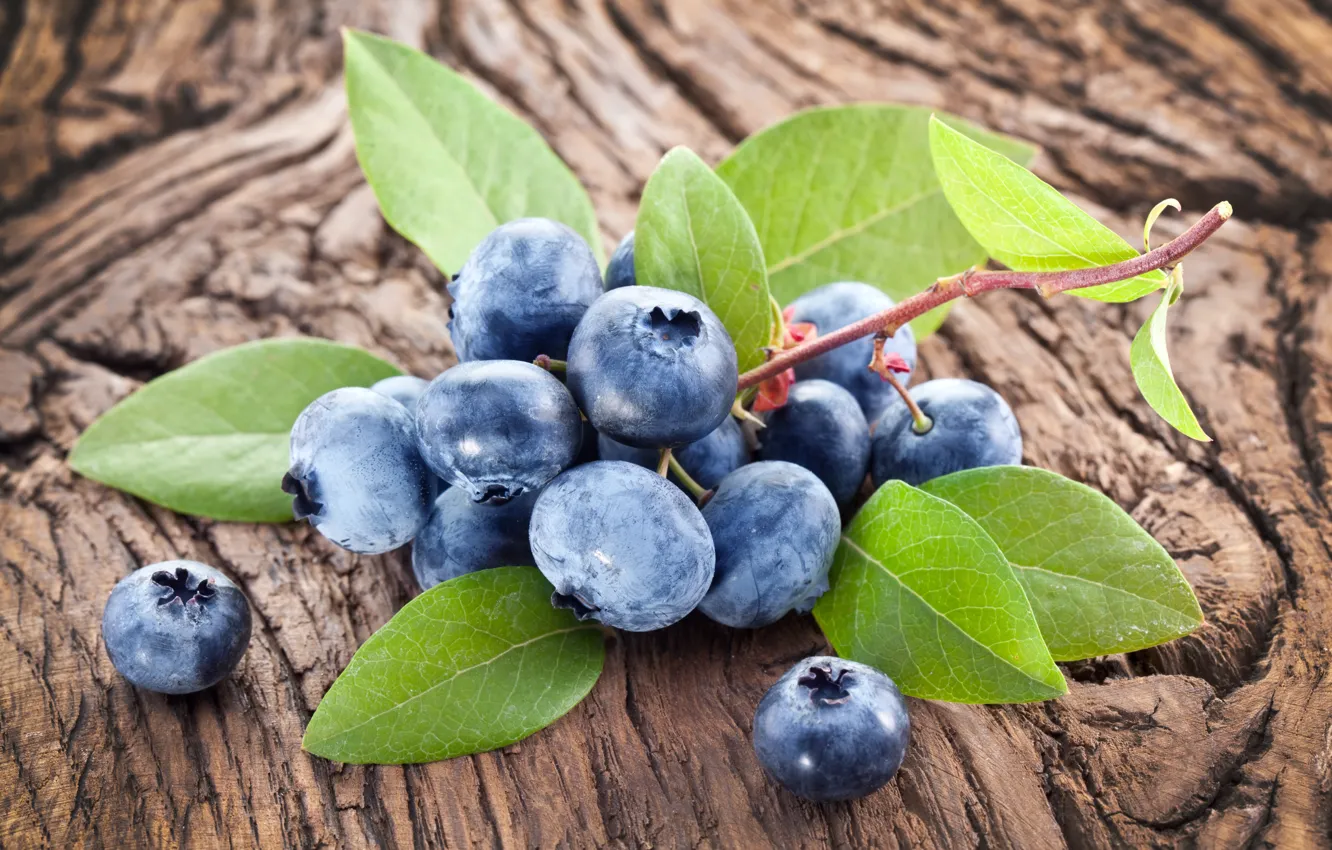 Photo wallpaper berries, blueberries, fresh, wood, blueberry, blueberries, berries