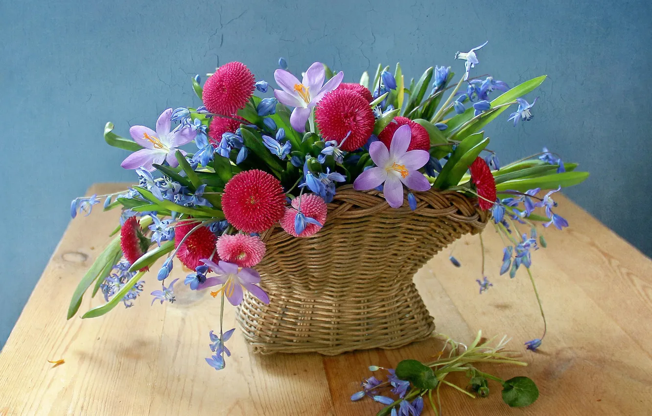 Photo wallpaper bouquet, crocuses, basket, Daisy