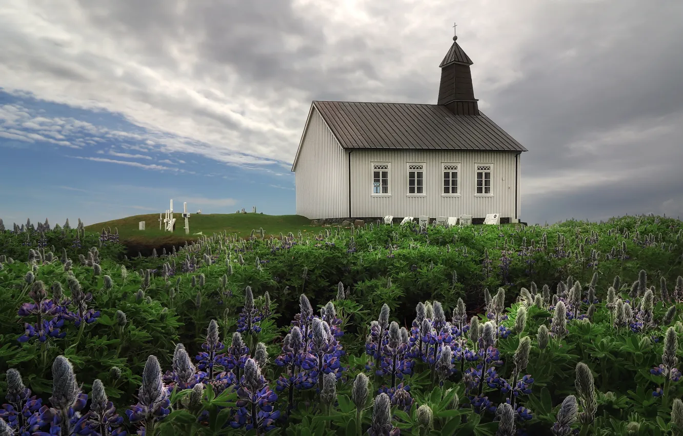 Photo wallpaper flowers, nature, temple