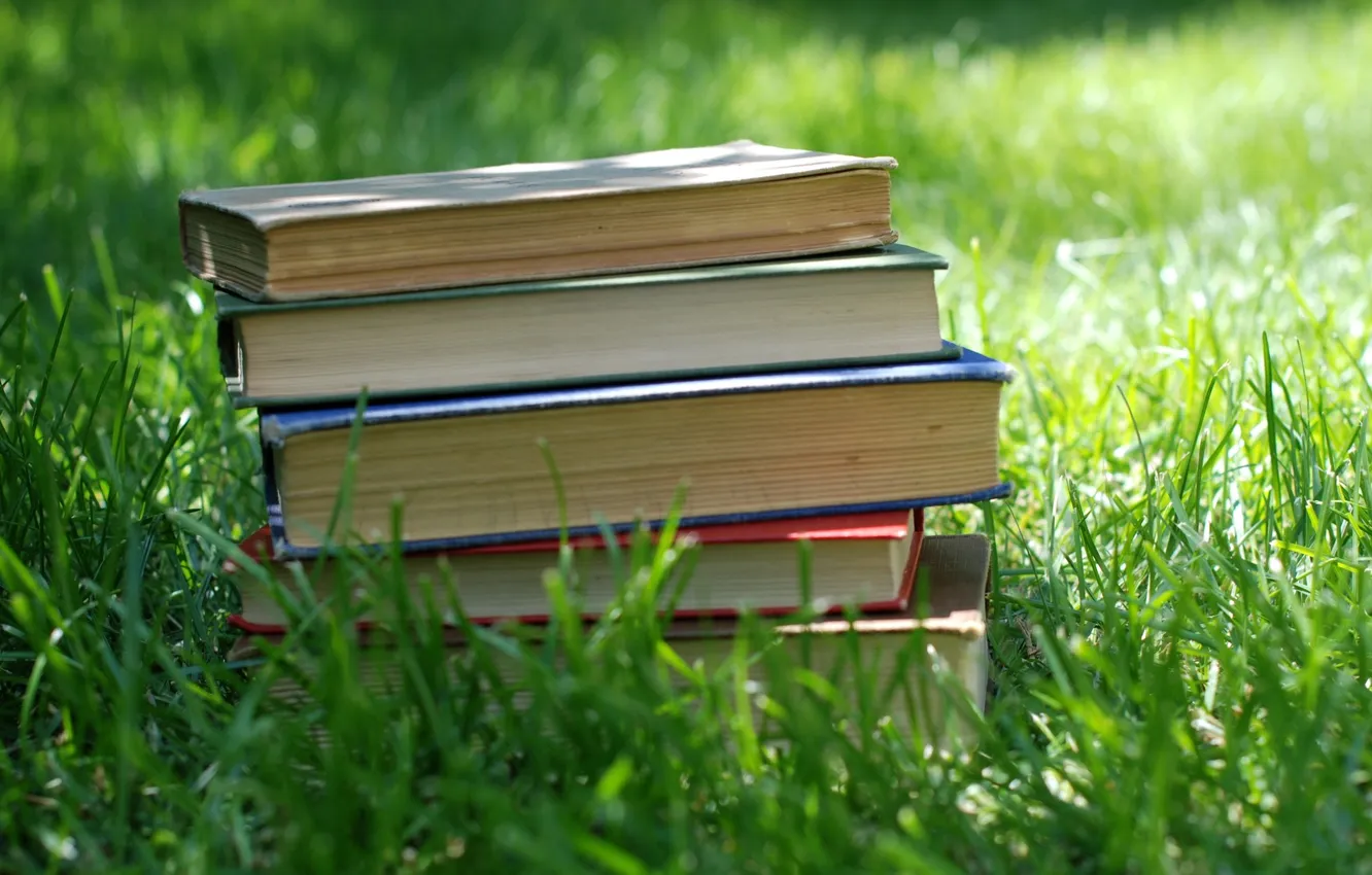 Photo wallpaper grass, nature, plant, book