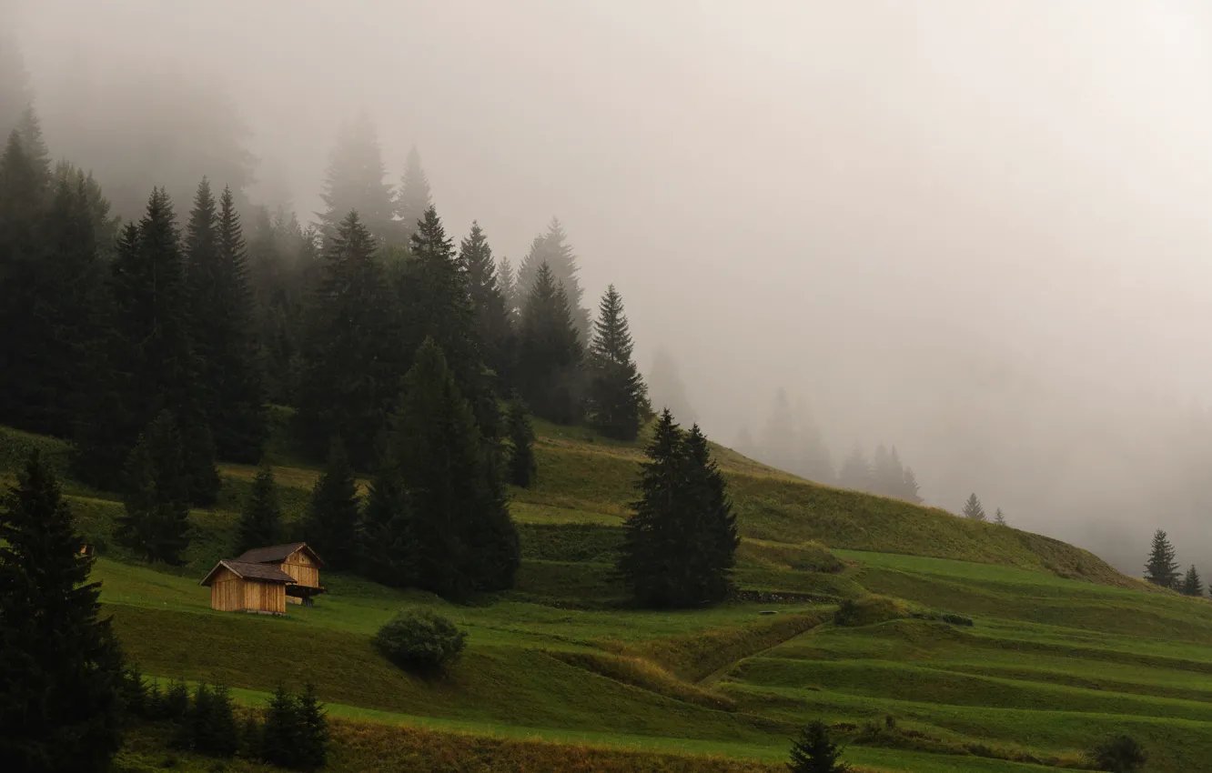 Photo wallpaper forest, grass, mountains, nature, fog, morning, houses