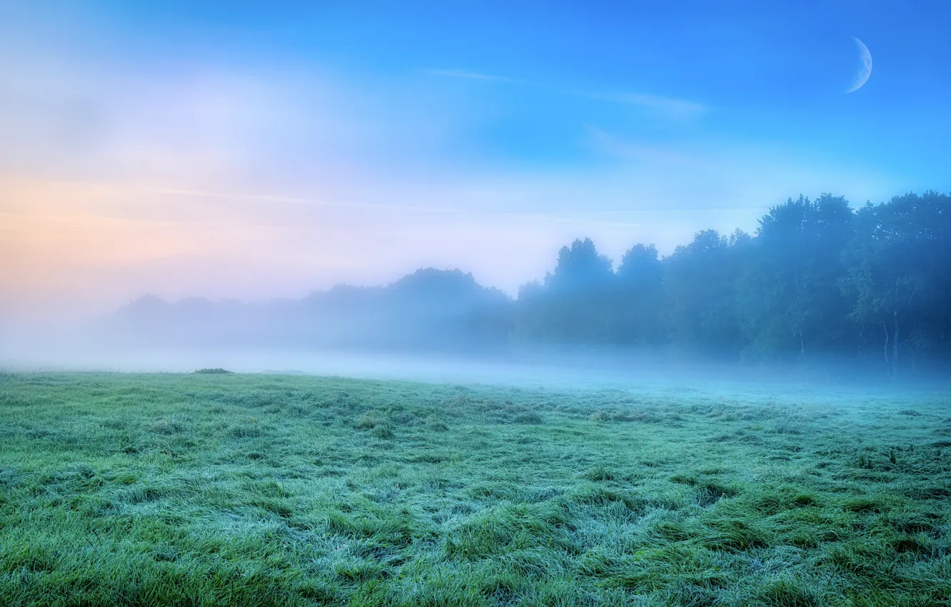 Photo wallpaper frost, field, forest, grass, clouds, trees, fog, blue