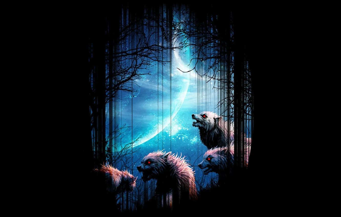 Photo wallpaper forest, night, background, the moon, wolves