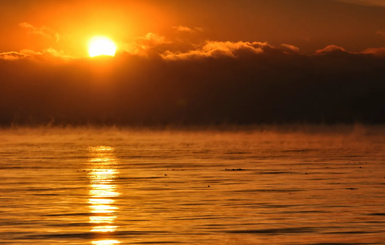 Photo wallpaper sunset, fog, lake