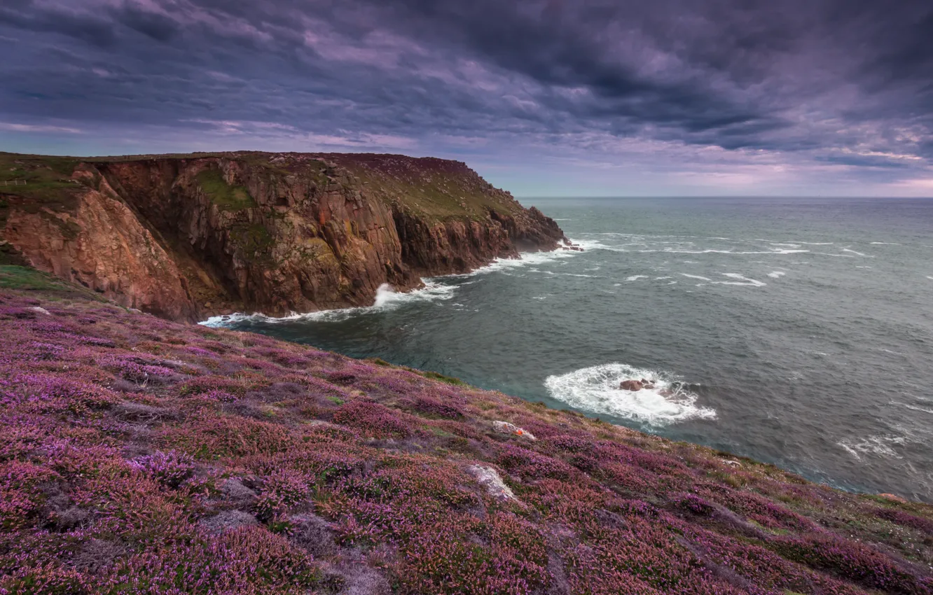 Photo wallpaper sea, the sky, clouds, flowers, clouds, rocks, shore, slope