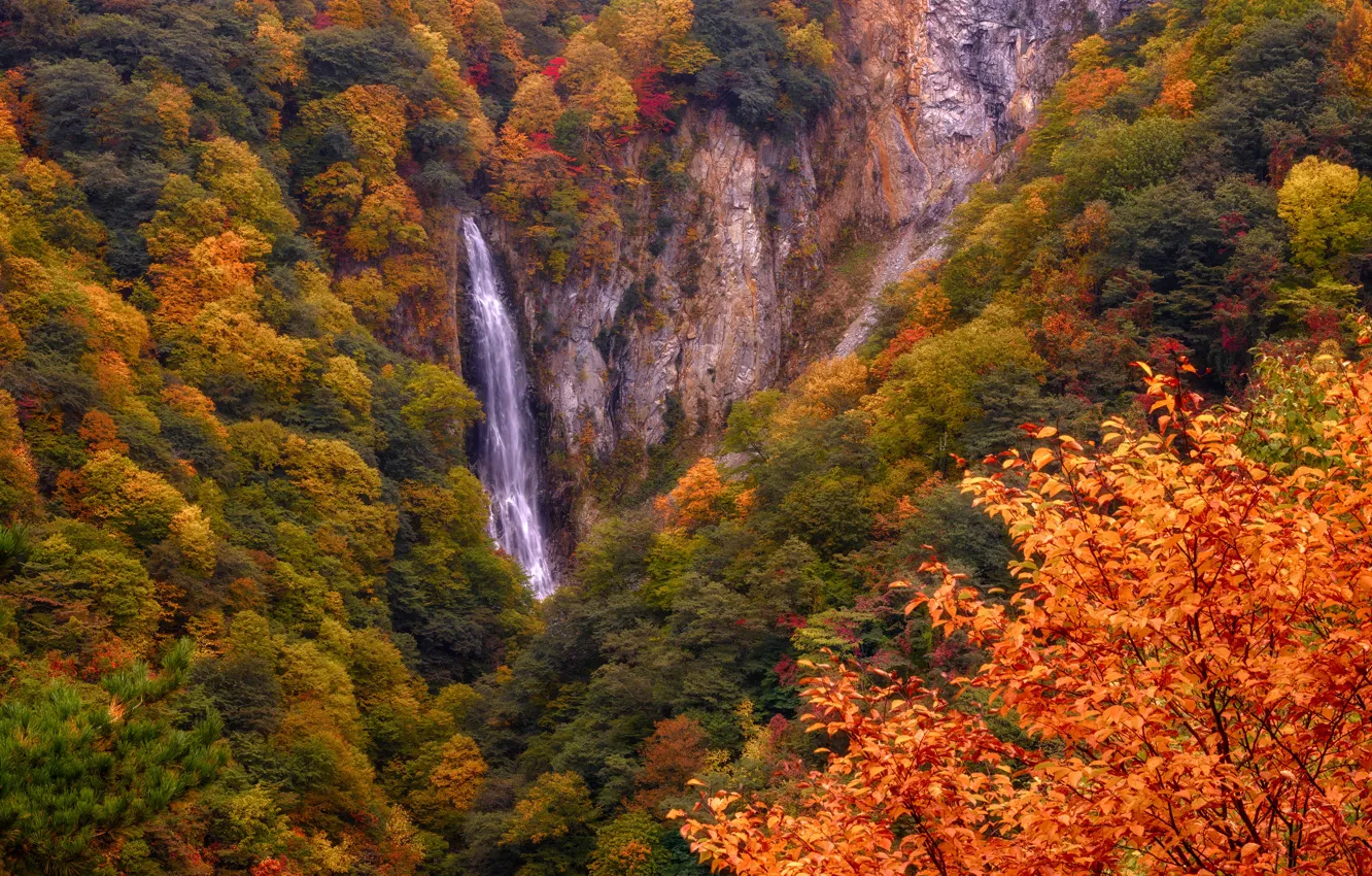 Photo wallpaper autumn, leaves, mountains, rocks, foliage, height, waterfall, Japan