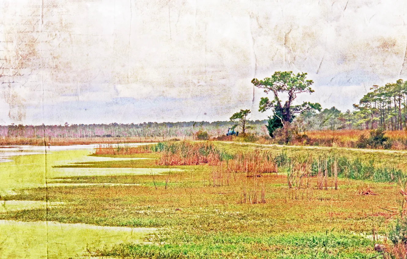 Photo wallpaper landscape, nature, style