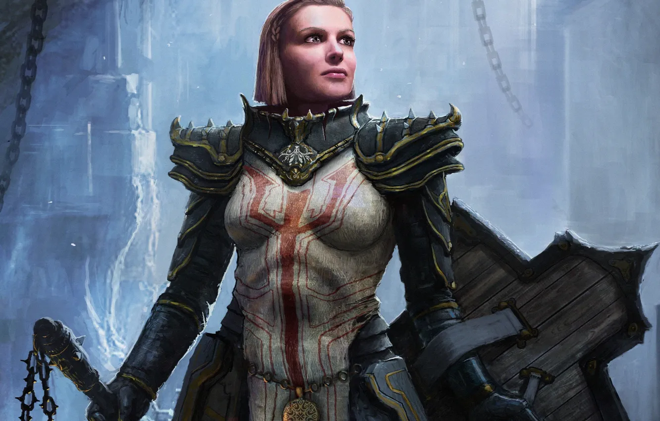 Photo wallpaper Diablo 3, art, Crusader, Reaper of Souls