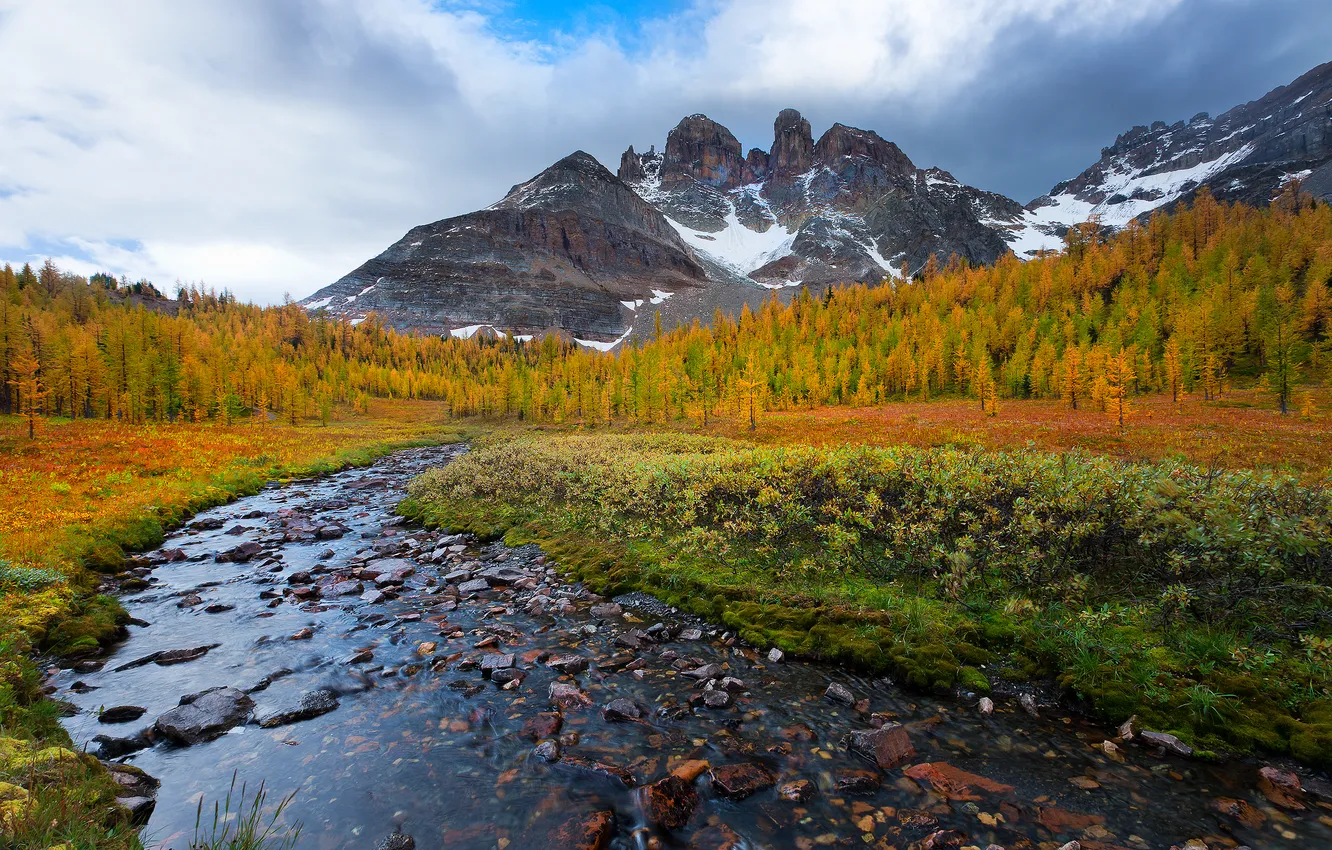Photo wallpaper autumn, forest, the sky, leaves, clouds, snow, trees, mountains