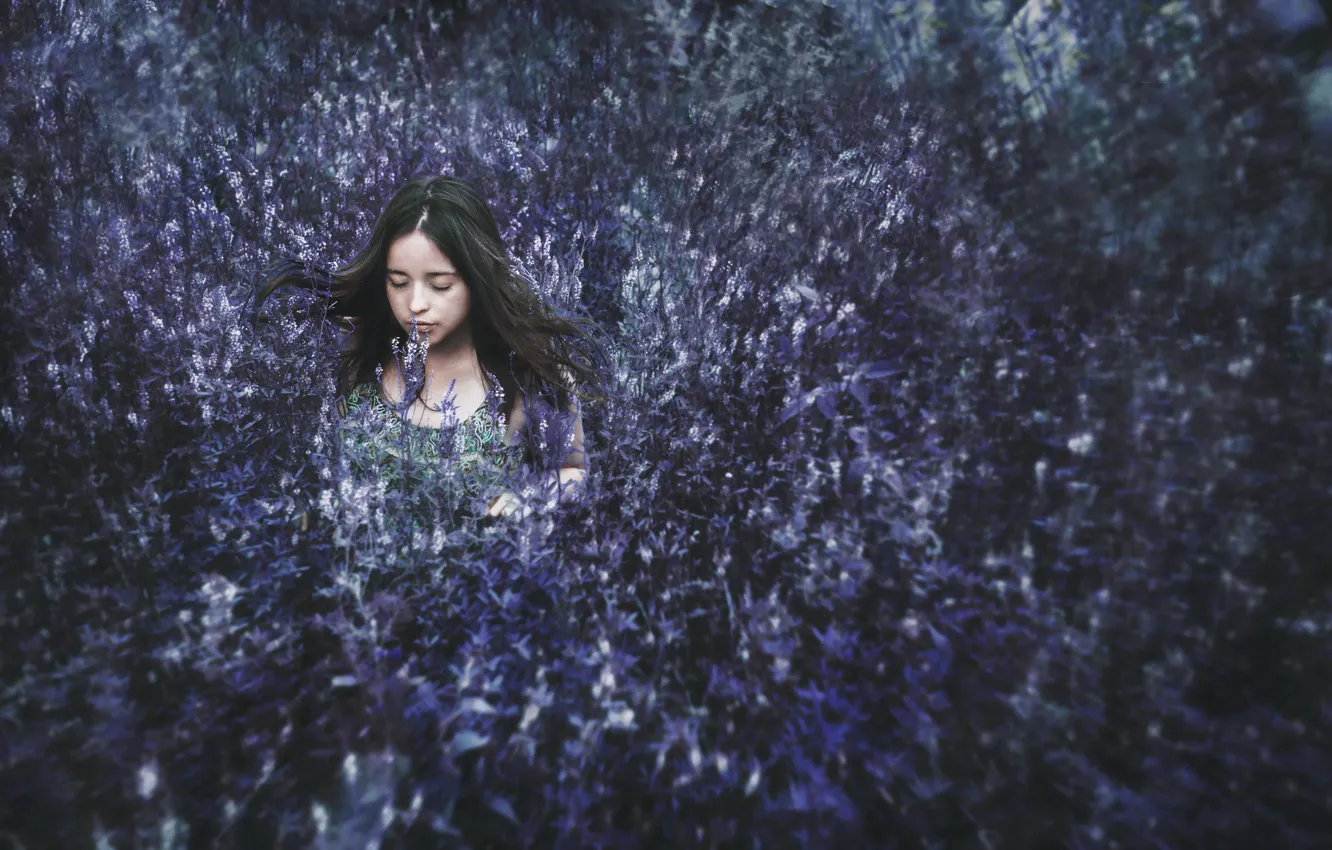 Photo wallpaper field, flowers, mood, girl
