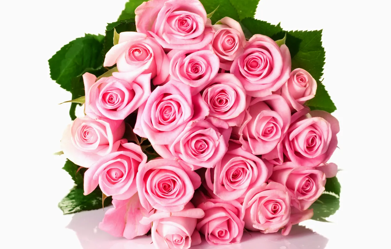 Photo wallpaper light, roses, bouquet, colorful, pink, flowers, beautiful, roses