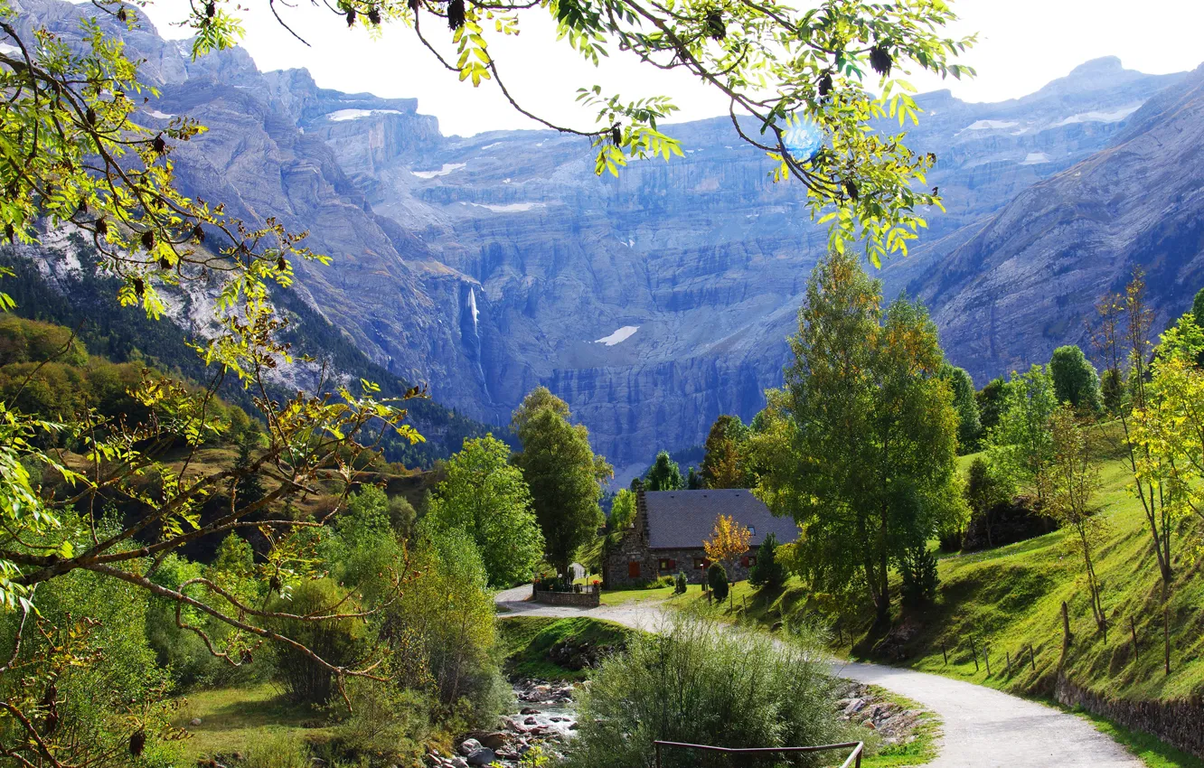 Photo wallpaper road, greens, grass, the sun, trees, mountains, branches, stream