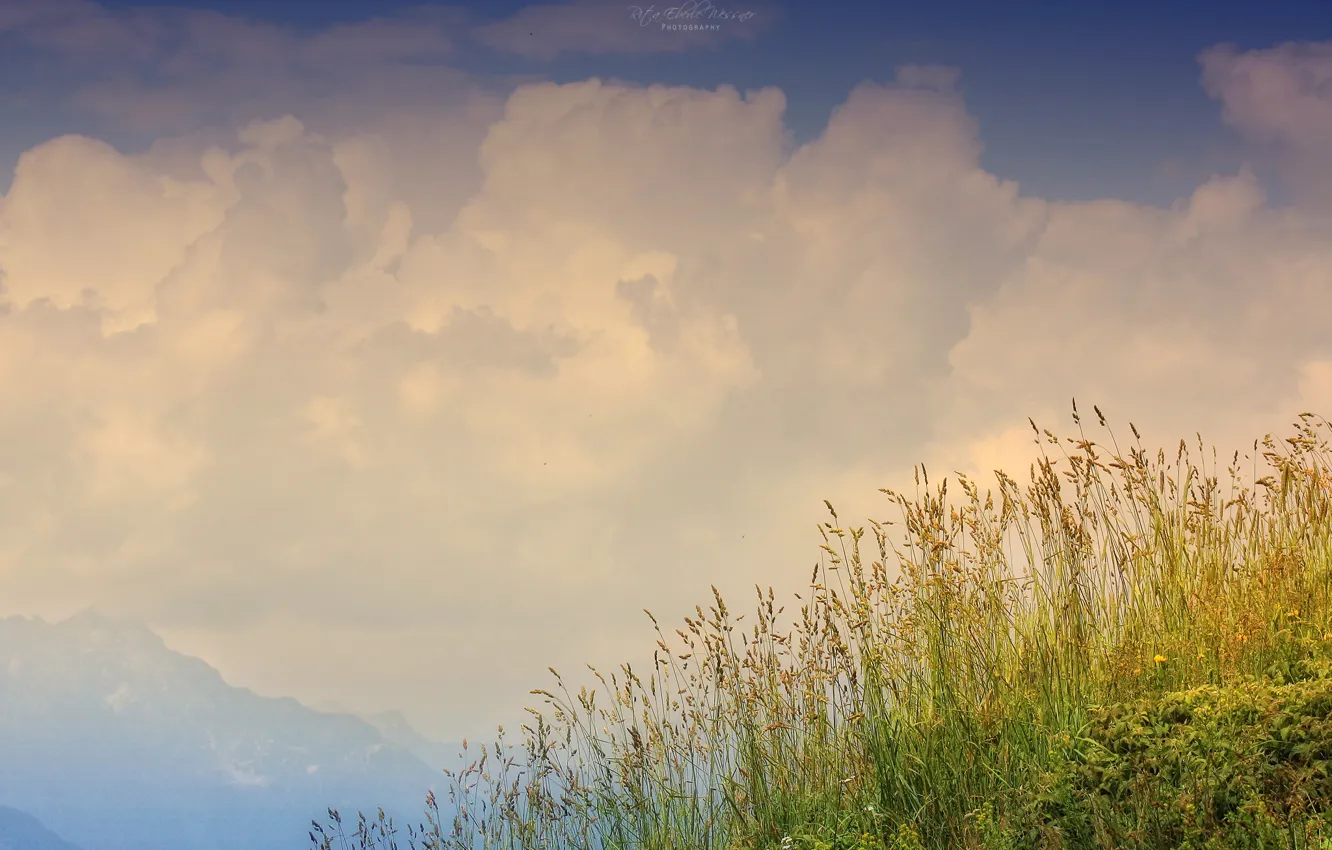Photo wallpaper grass, mountains, black, hill, nebo