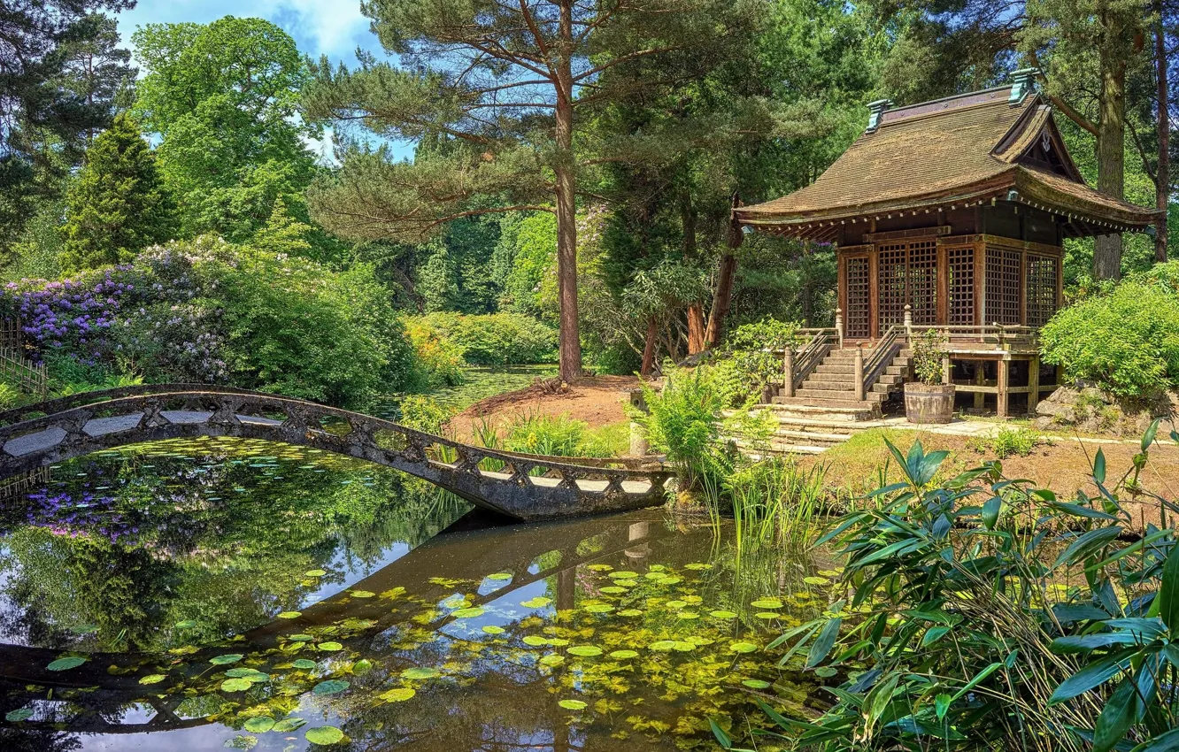 Photo wallpaper the bridge, gazebo, Japanese motif