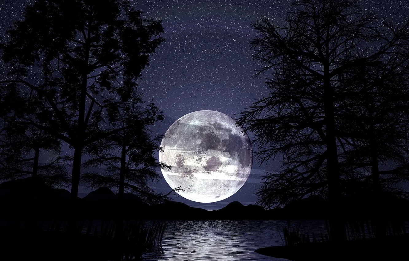 Photo wallpaper night, the moon