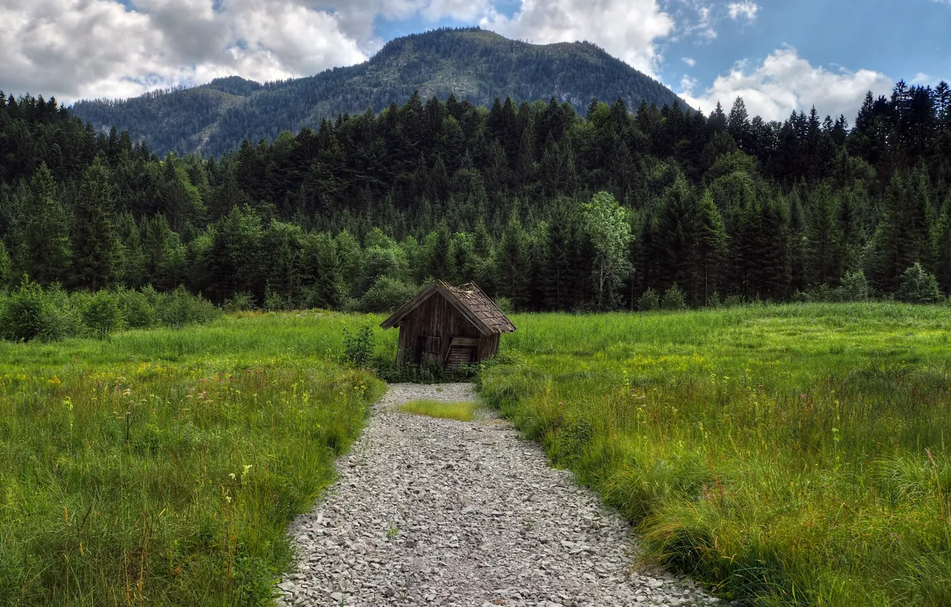 Photo wallpaper field, forest, summer, grass, mountains, nature, hut, track