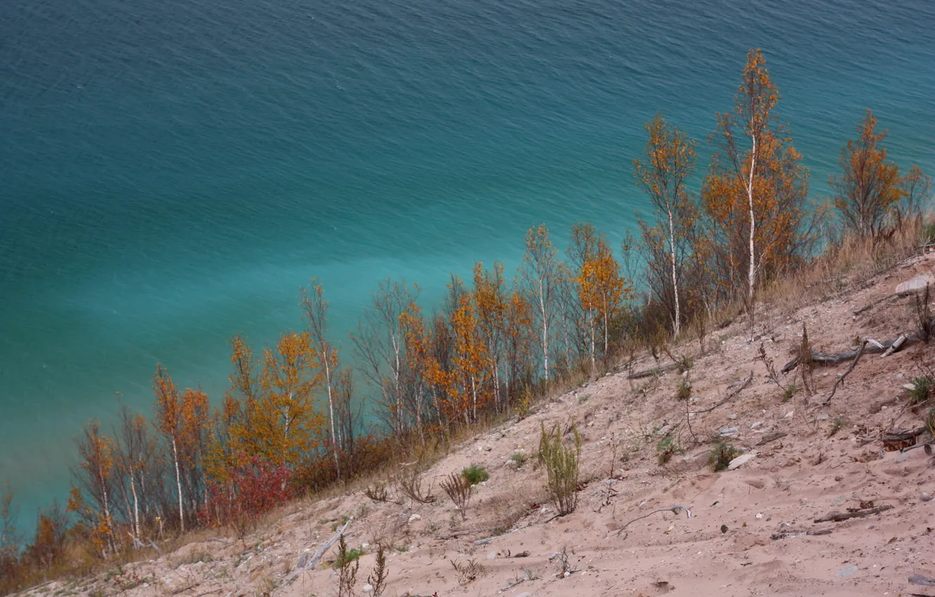 Photo wallpaper autumn, trees, slope, lake Michigan