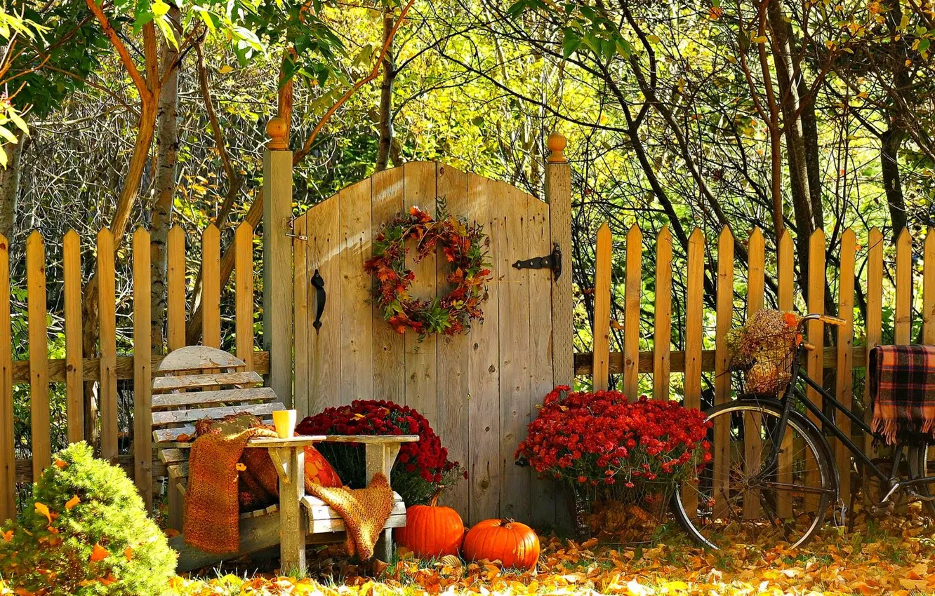 Photo wallpaper leaves, mountains, nature, bike, bowl, cafe, forest, bike