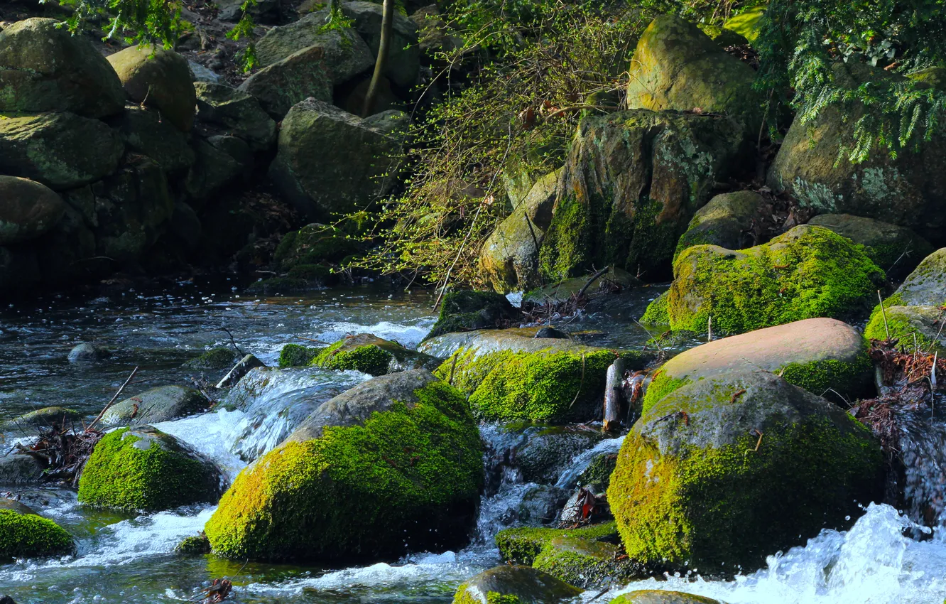 Photo wallpaper river, water, stones, moss