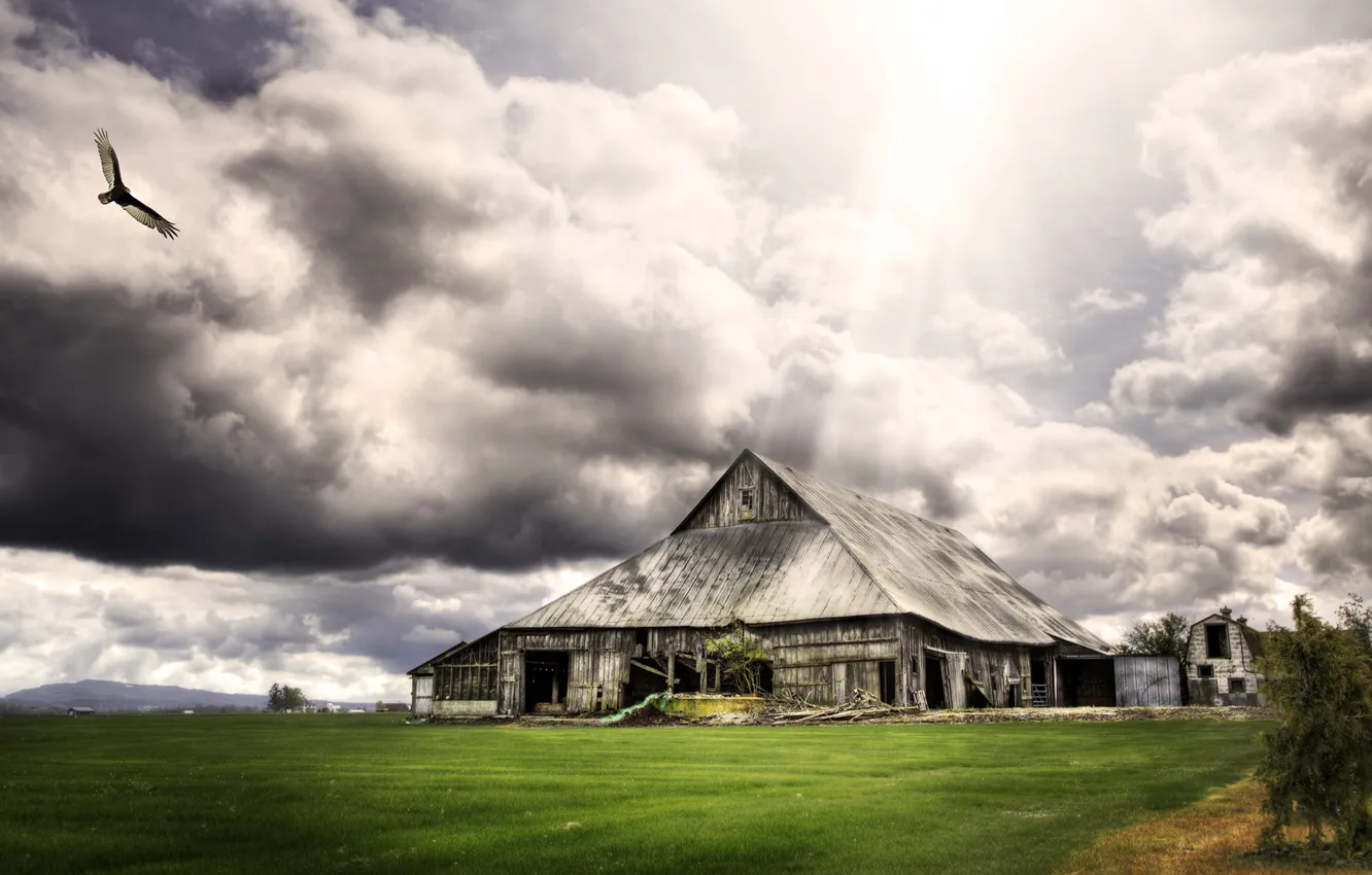 Photo wallpaper grass, clouds, bird, the barn