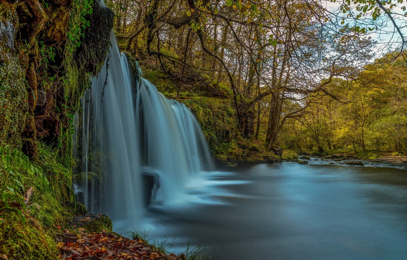 Photo wallpaper water, trees, waterfall