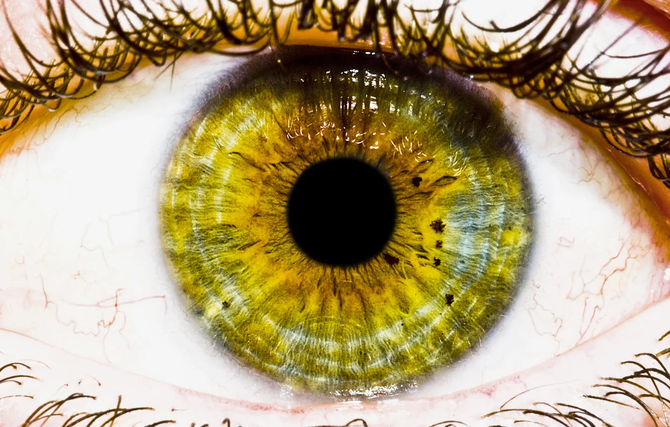 Photo wallpaper green, white, eye, eye pupil