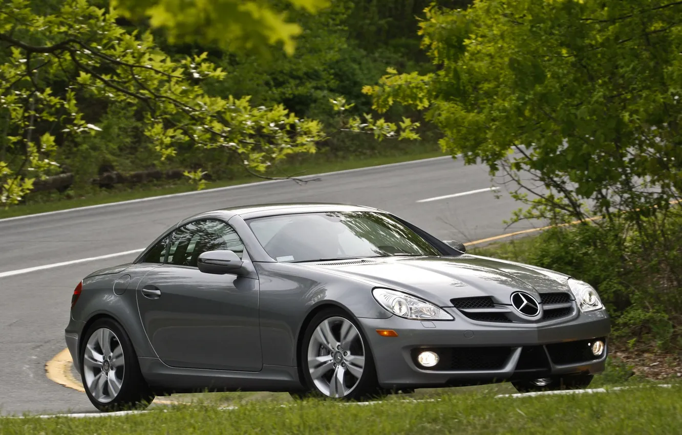 Photo wallpaper trees, track, Mercedes