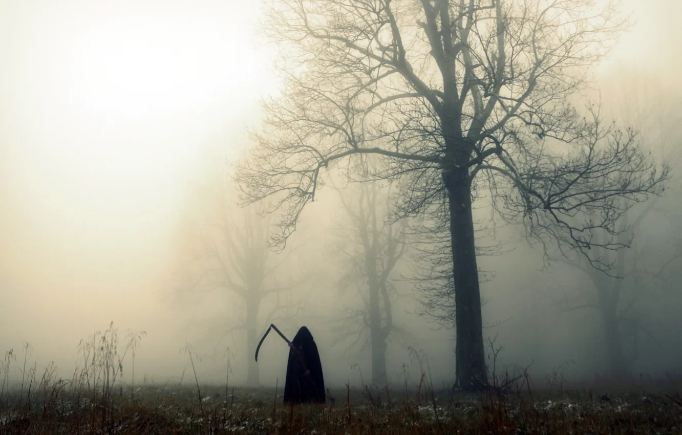 Photo wallpaper field, fog, death