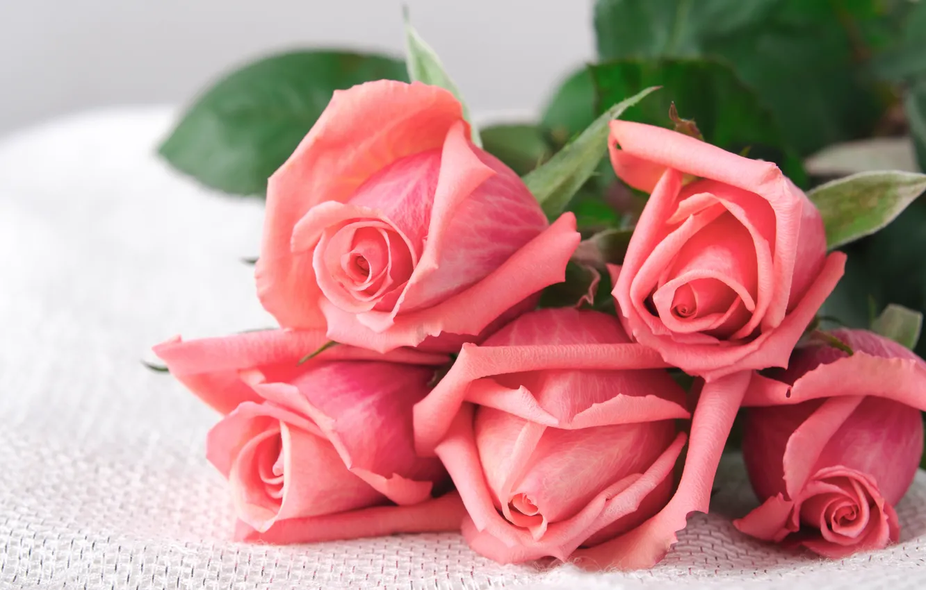 Photo wallpaper roses, bouquet, love, buds, pink, flowers, romantic, roses