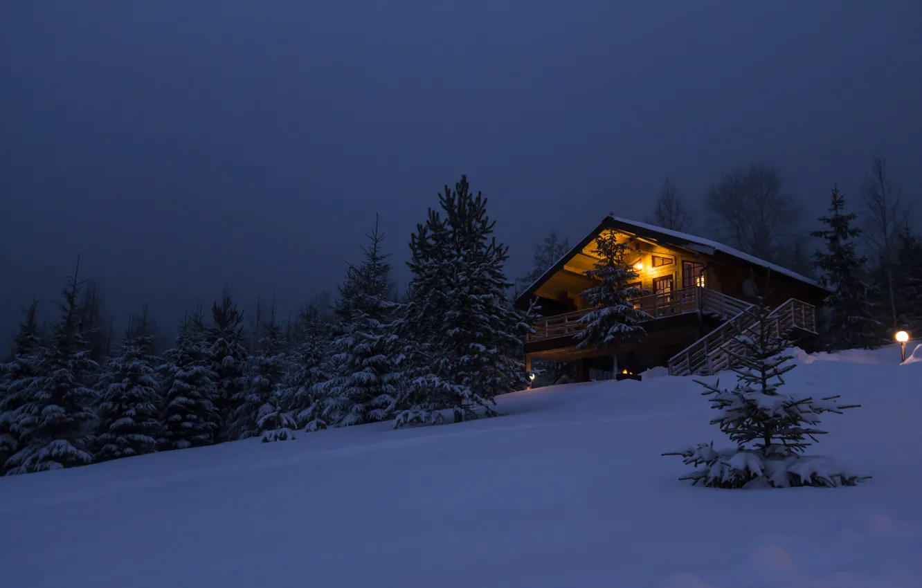 Photo wallpaper winter, forest, snow, trees, night, nature, house, travel