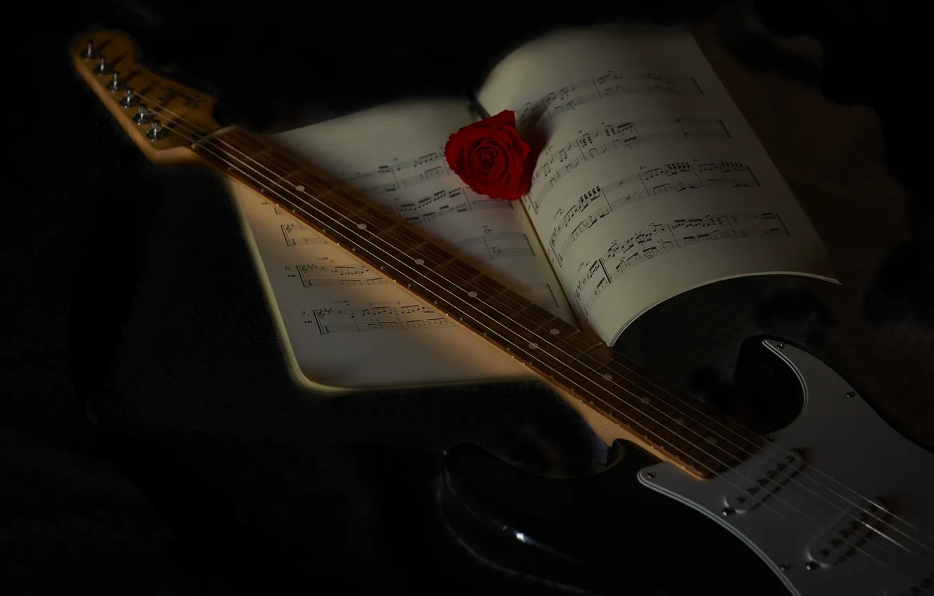 Photo wallpaper notes, music, guitar, roses, black background