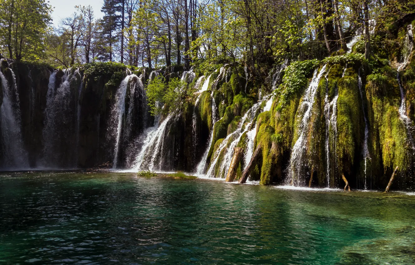 Photo wallpaper greens, forest, trees, lake, waterfall, moss, Croatia, Plitvice national park