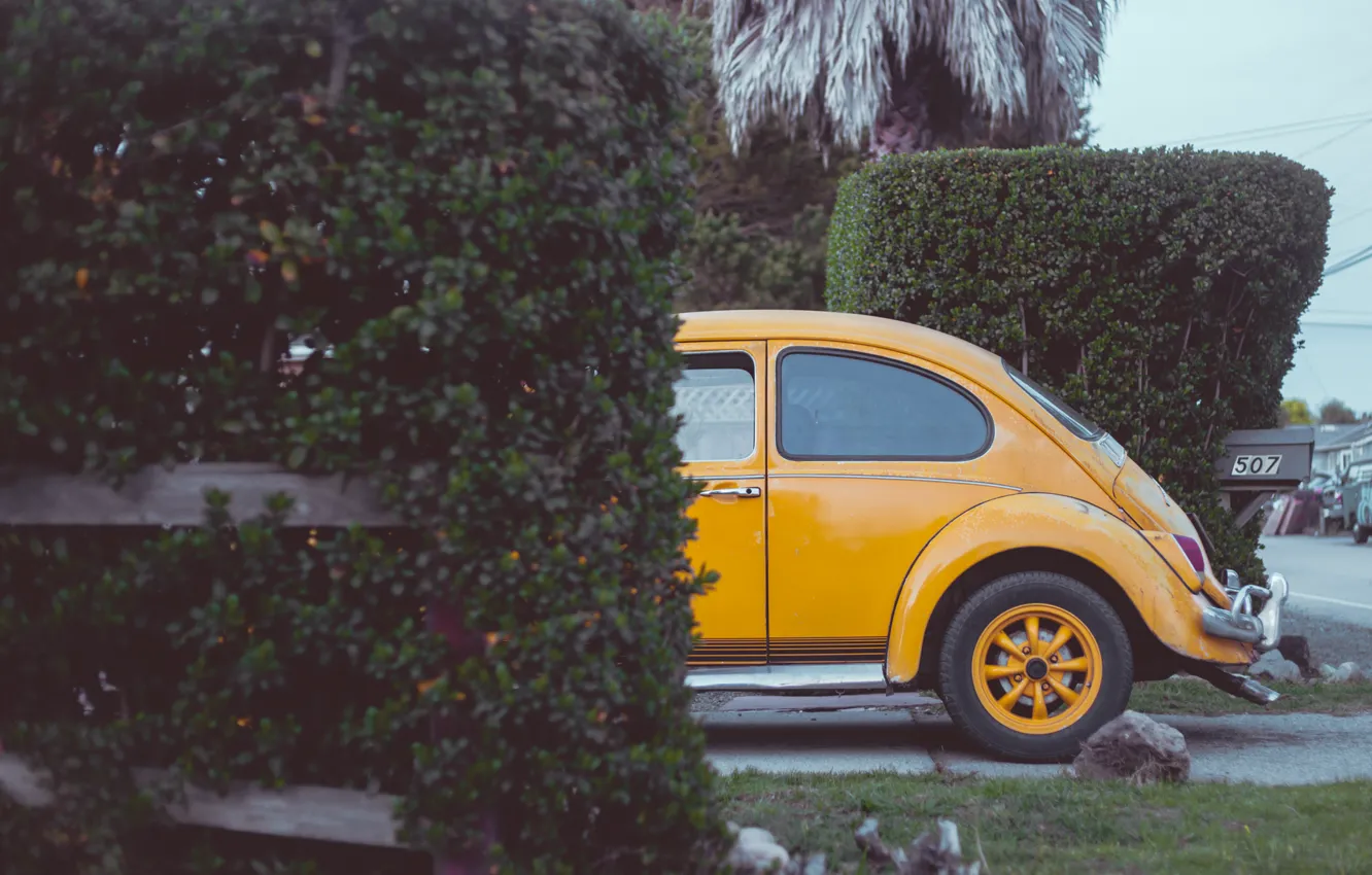 Photo wallpaper machine, street, yard, the bushes