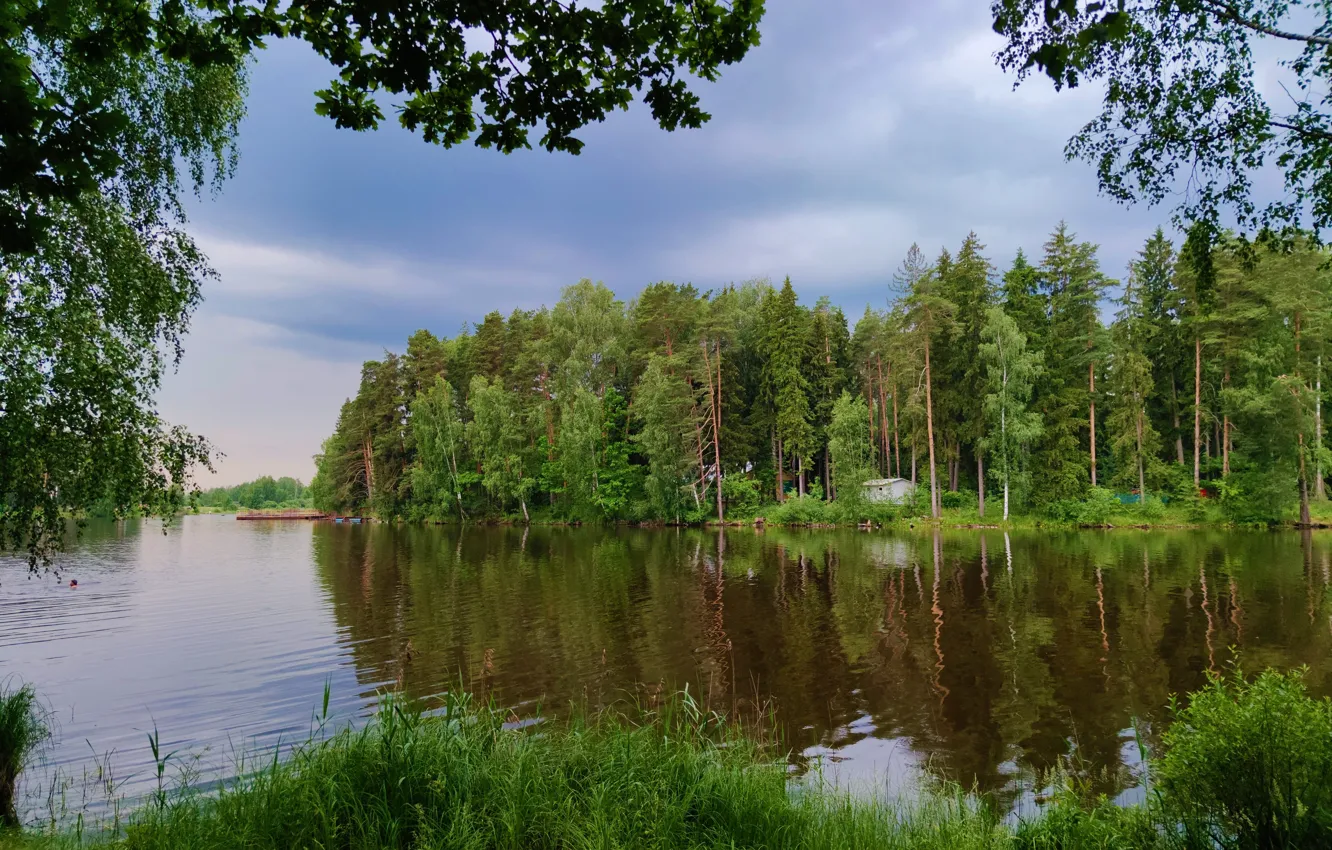 Photo wallpaper summer, green, grass, onion lake