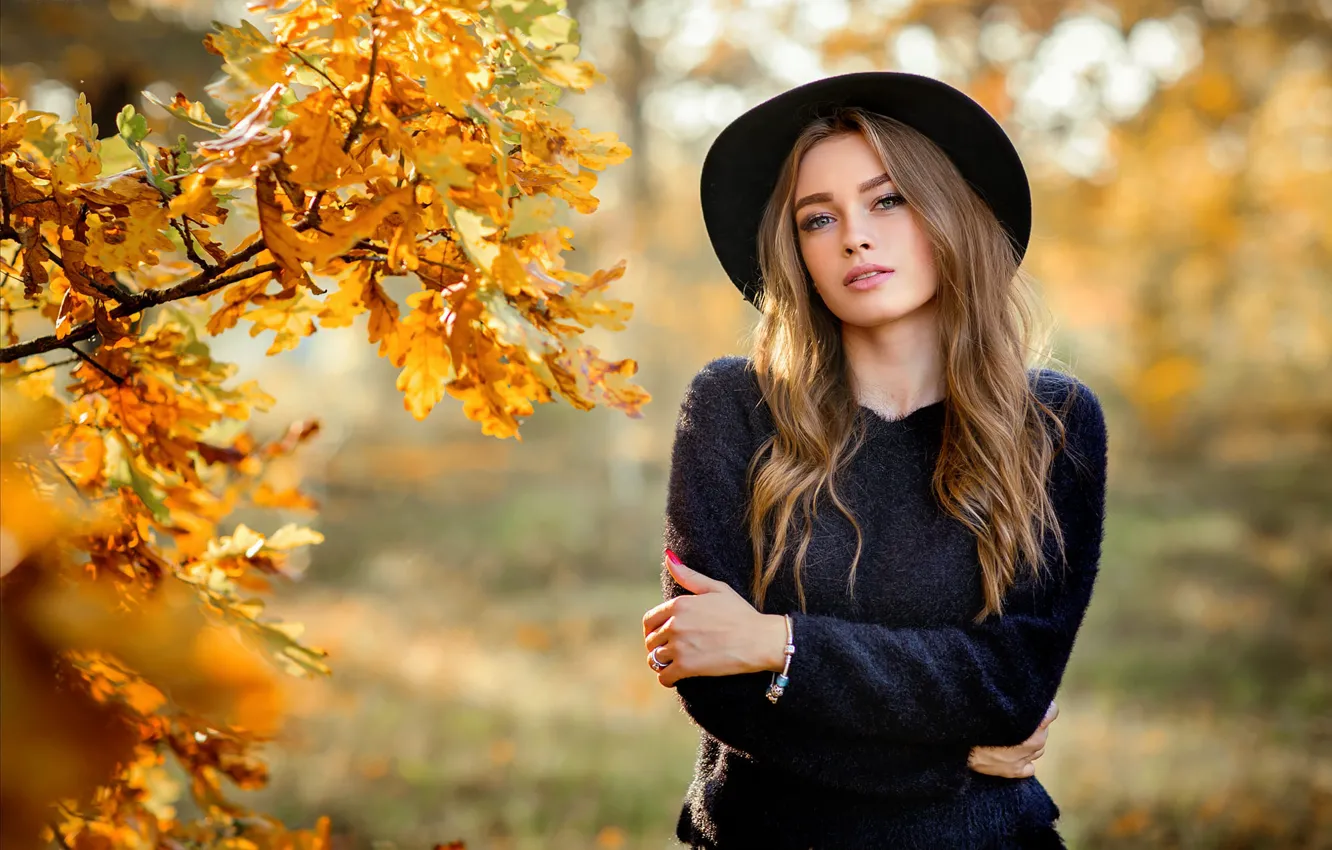 Photo wallpaper girl, long hair, hat, photo, brown, blue eyes, autumn, leaves