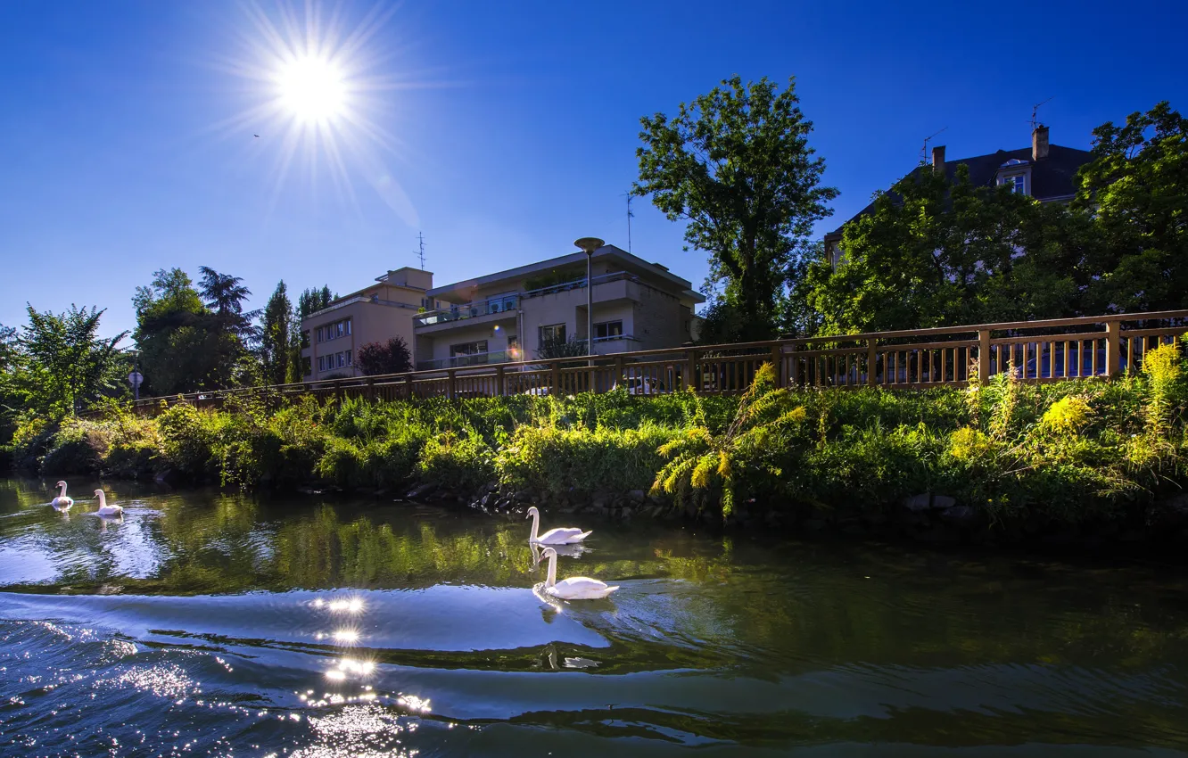 Photo wallpaper greens, summer, the sky, the sun, rays, trees, river, France