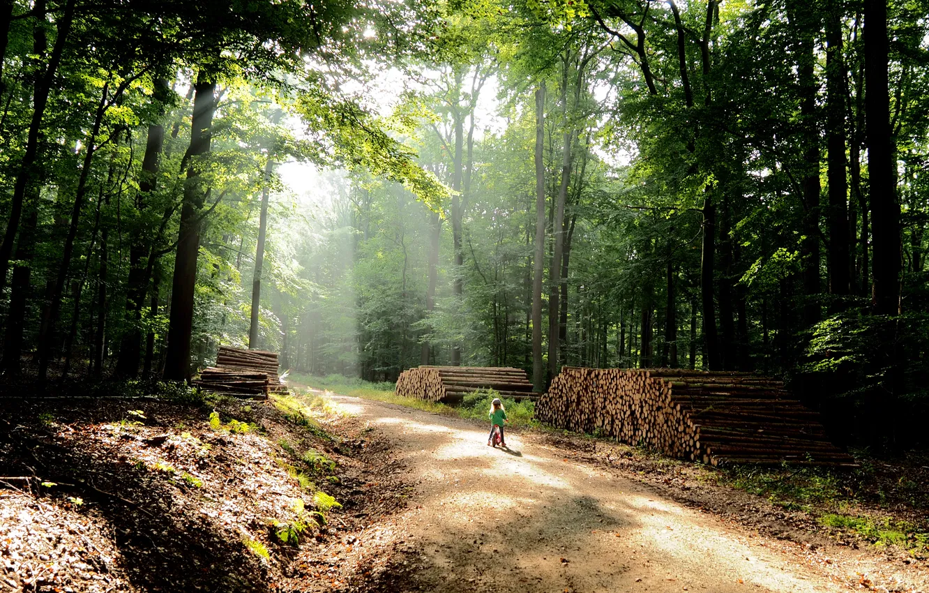 Photo wallpaper road, forest, trees, nature, bike, children, photo, trail