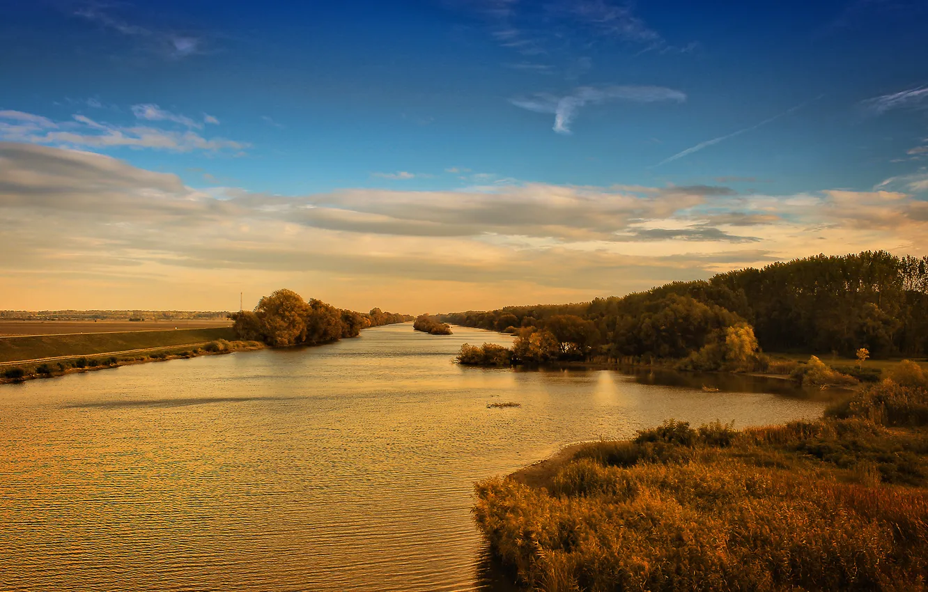 Photo wallpaper forest, clouds, nature, river, ruffle