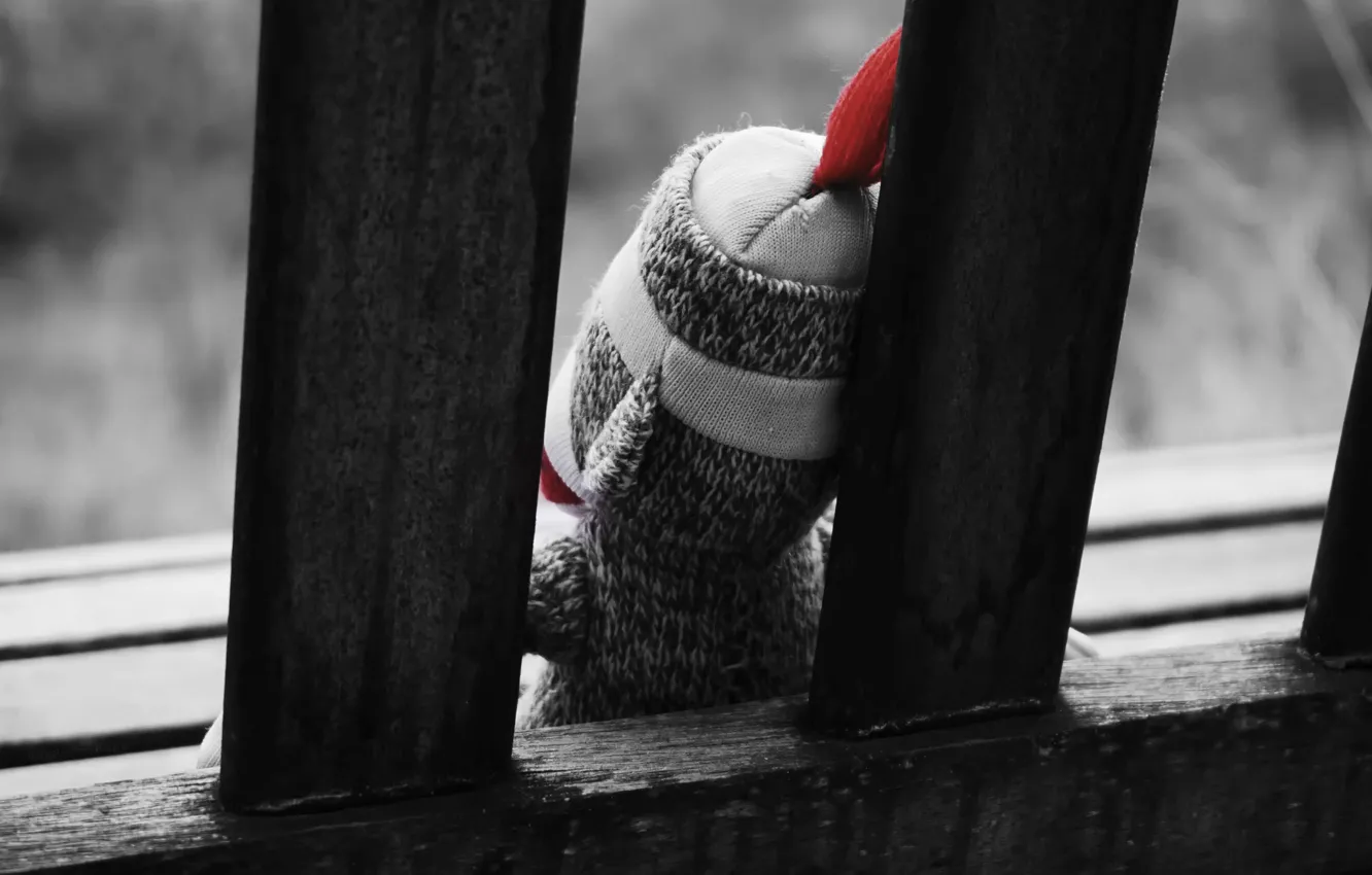 Photo wallpaper toy, bench, plush