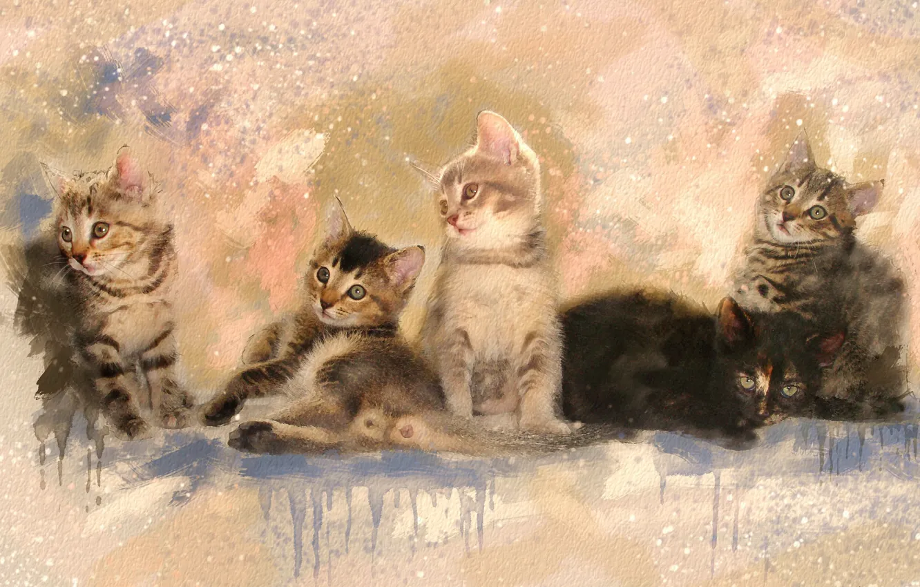Photo wallpaper picture, divorce, watercolor, kittens, painting, grey, cuties, strokes