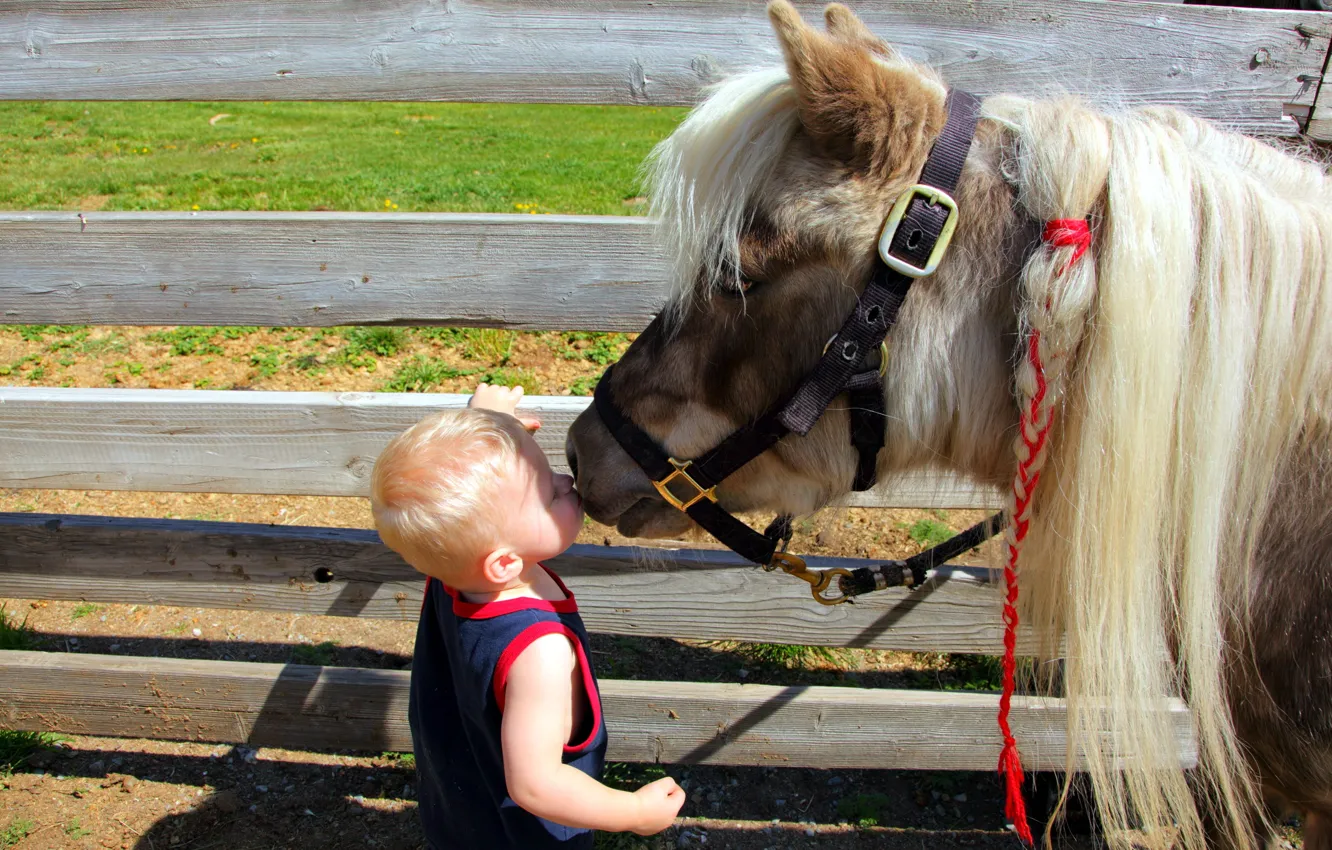 Photo wallpaper mood, boy, pony
