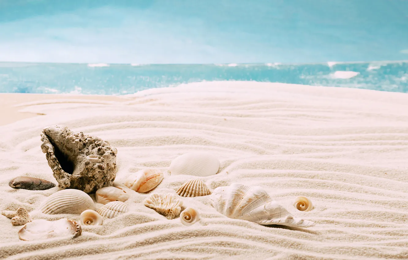 Photo wallpaper sand, sea, beach, summer, the sky, shore, shell, summer