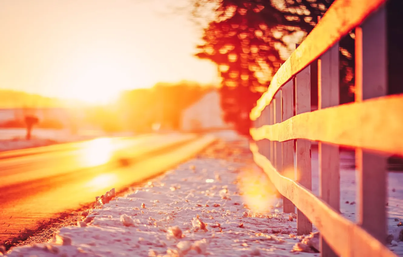 Photo wallpaper road, leaves, the sun, snow, trees, landscape, nature, background